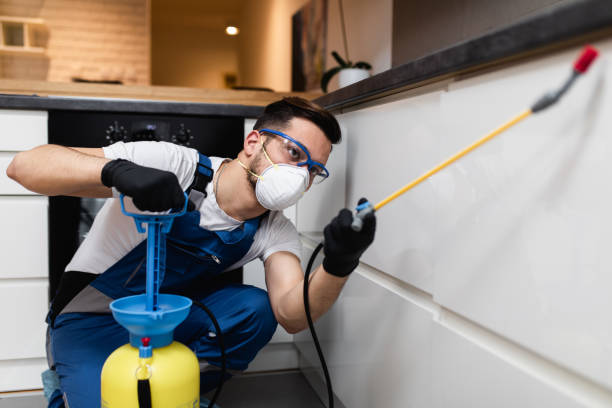 Best Emergency Pest Control  in Holly, MI
