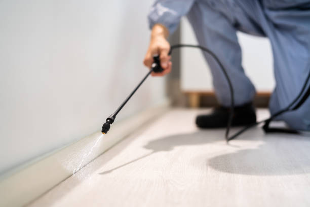 Best Pest Control Near Me in Holly, MI