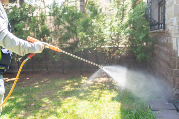 Best Pest Inspection Near Me  in Holly, MI