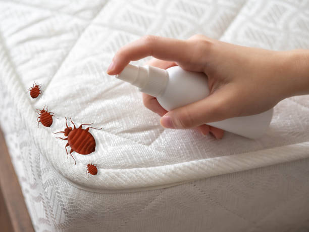 Best Mosquito Control Services  in Holly, MI